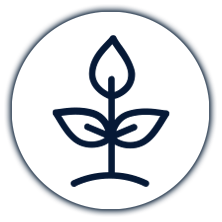 icon of a seedling