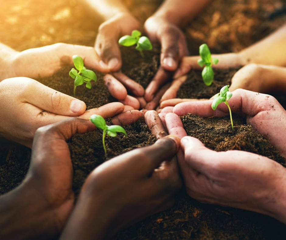 5 sets of hands all pointing to the centre holding seedlings in soil